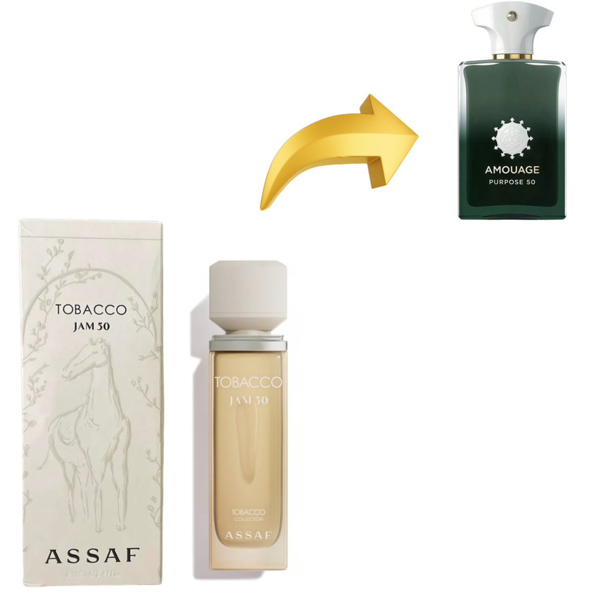 ASSAF TOBACCO JAM50 بديل~|AMOUAGE PURPOSE 50|